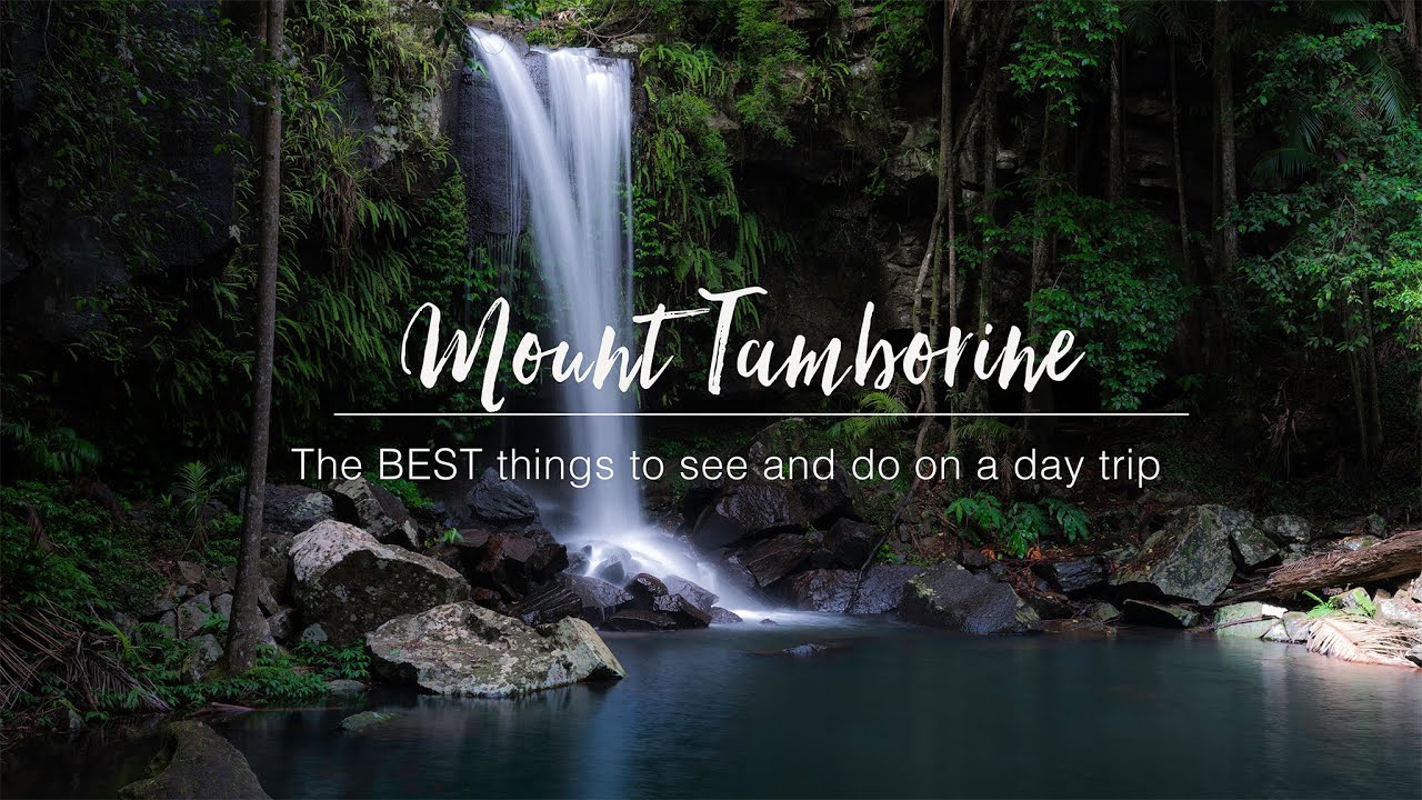 Mount Tamborine | The BEST things to SEE and DO on a day trip