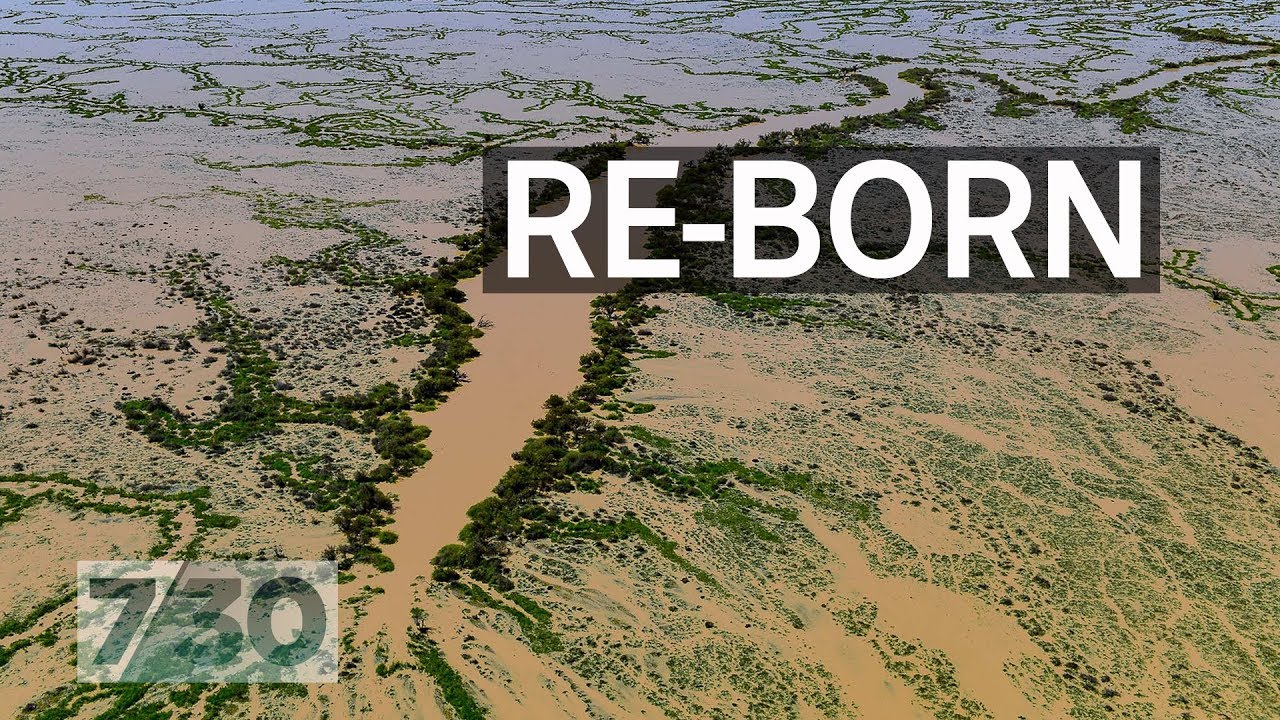 Lake Eyre&rsquo;s biggest flood in nearly 50 years | 7.30