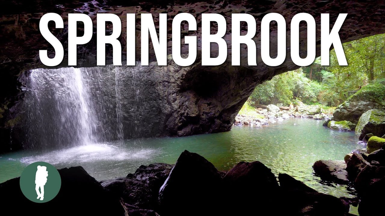 Springbrook National Park in 4K | Landscapes and Wildlife | Gold Coast Queensland | Australia Nature