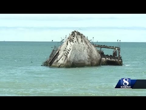 Seacliff State Beach reopened on Saturday