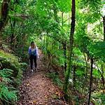 Lamington National Park