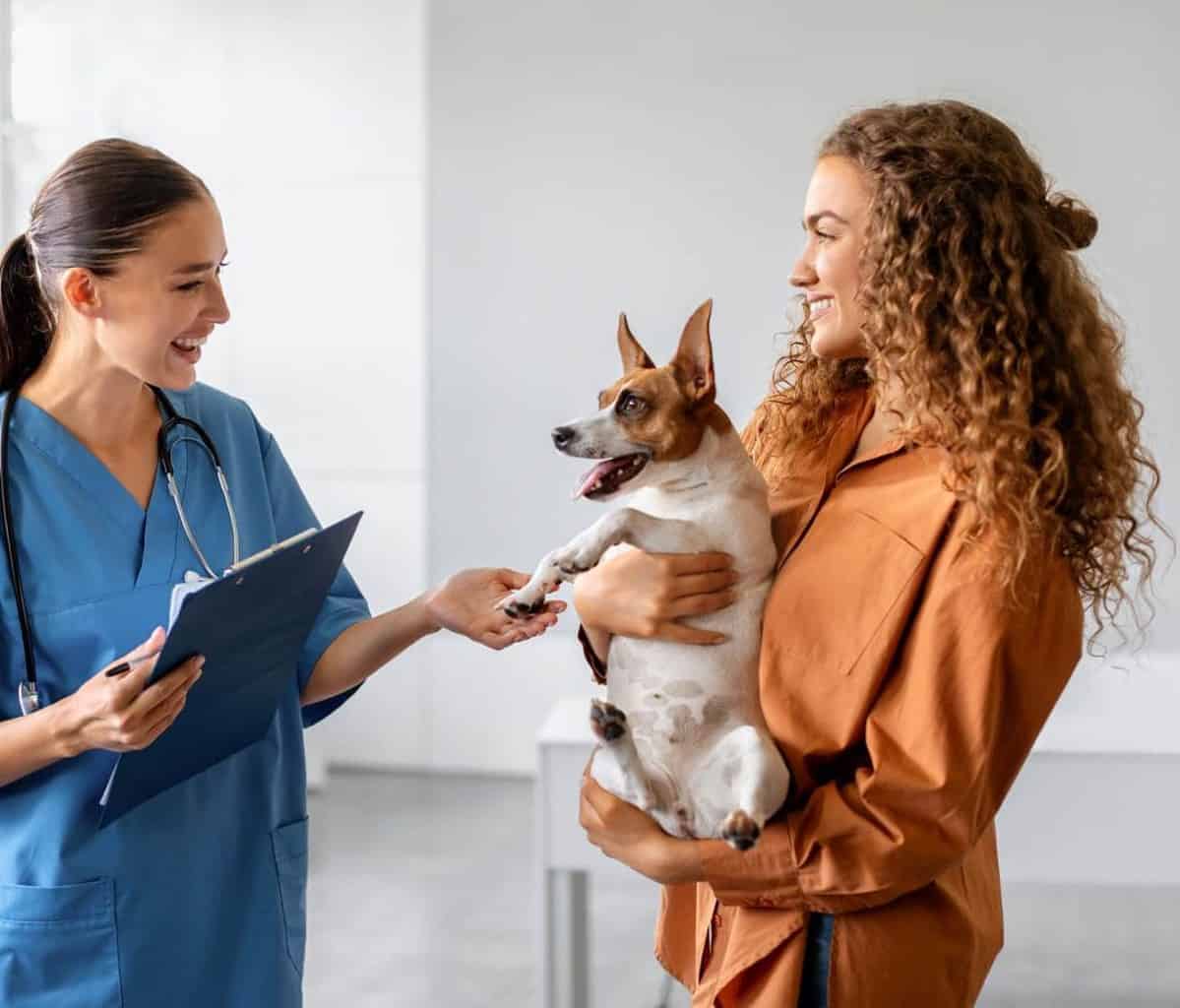 Pet Insurance