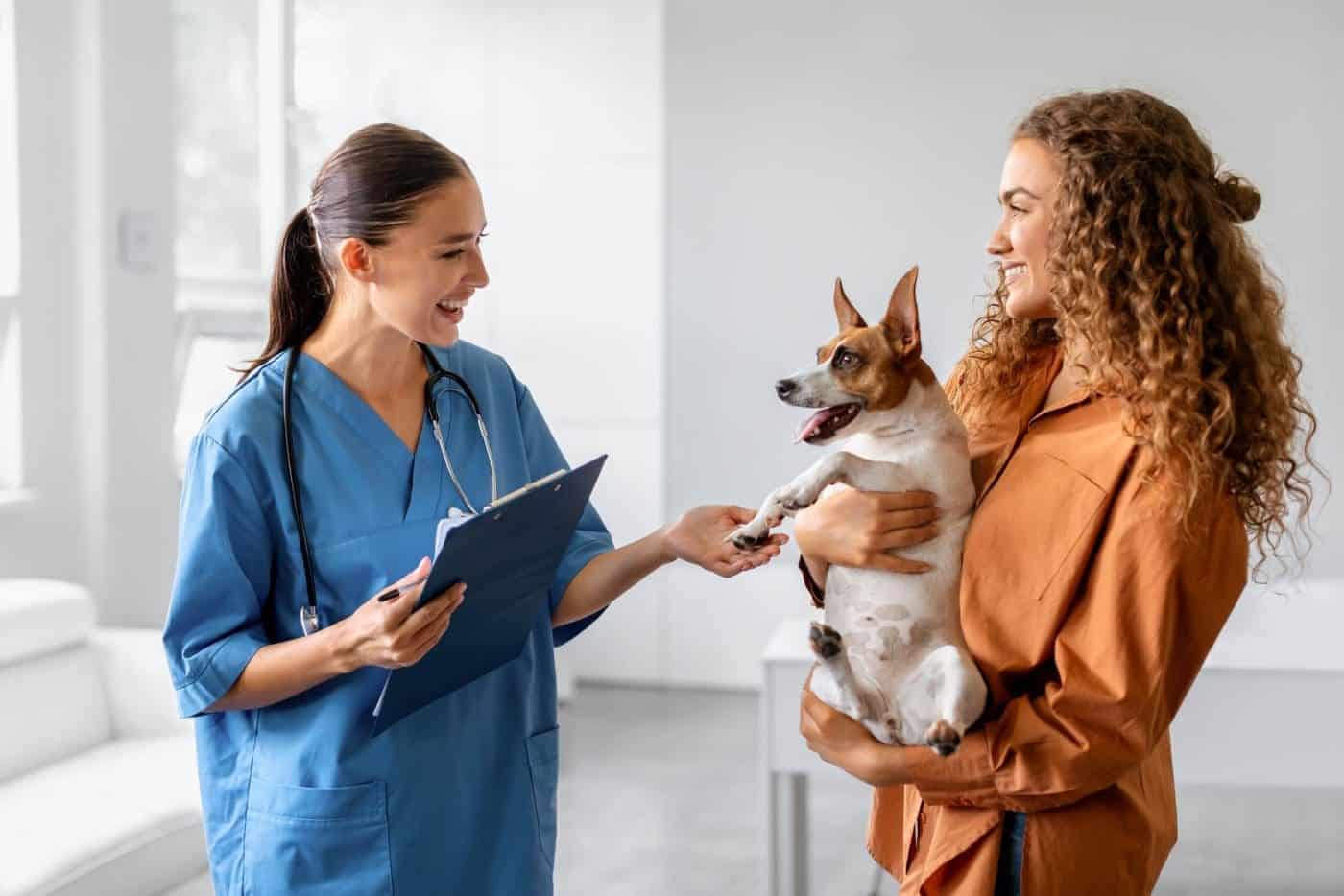 Pet Insurance