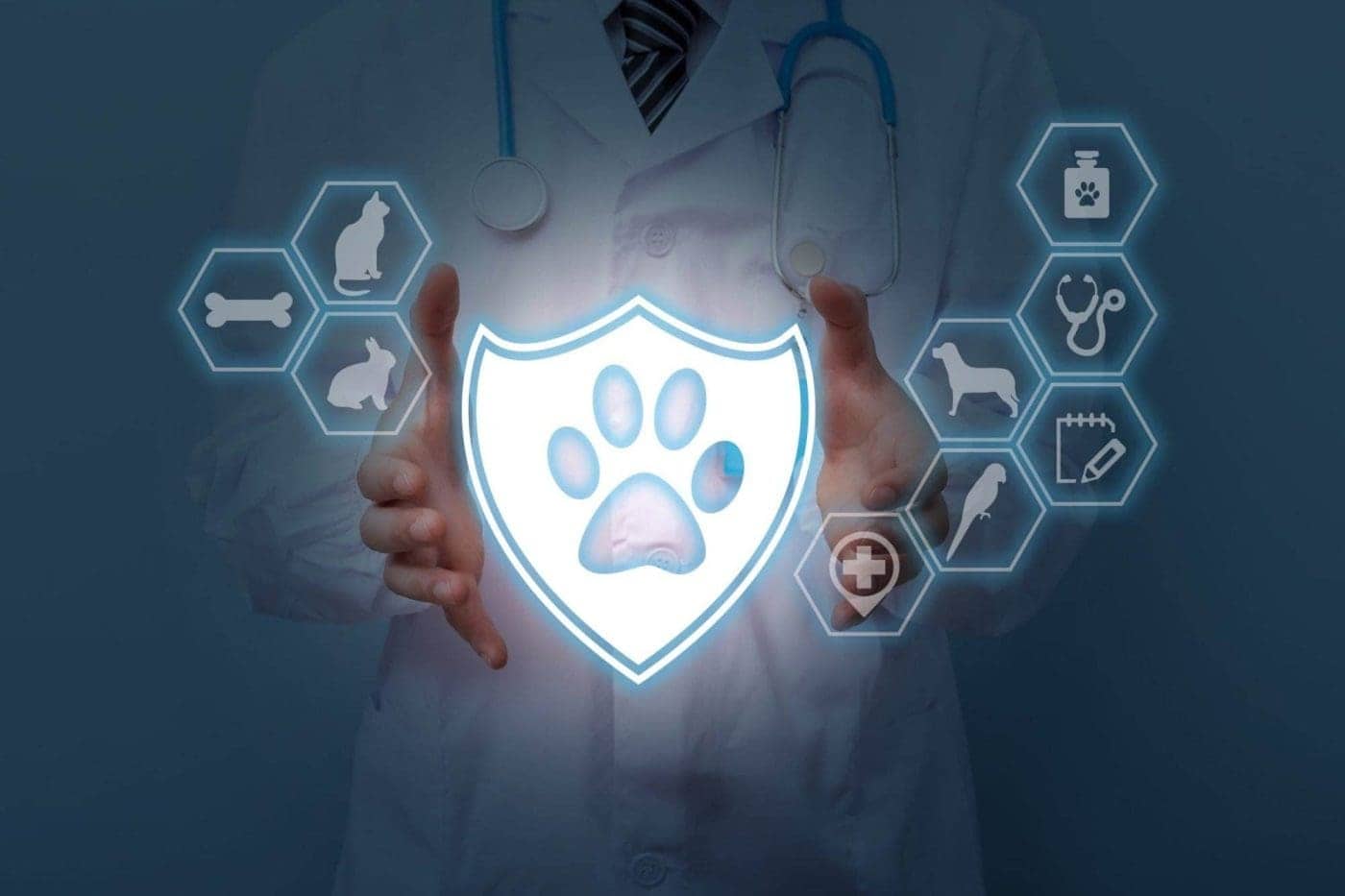 A veterinary doctor holding a pet insurance sign - the concept of pet insurance.