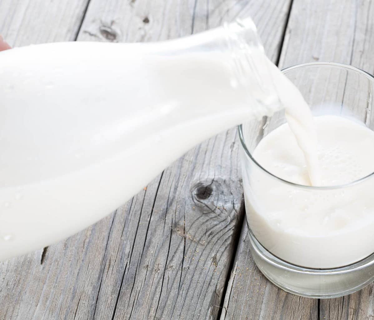 low fat milk
