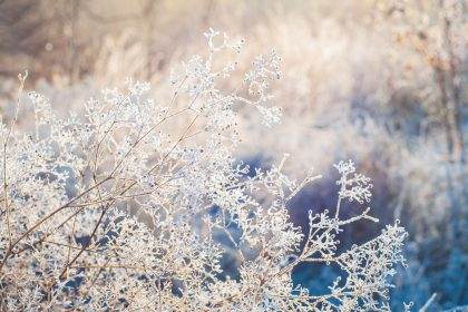 winter