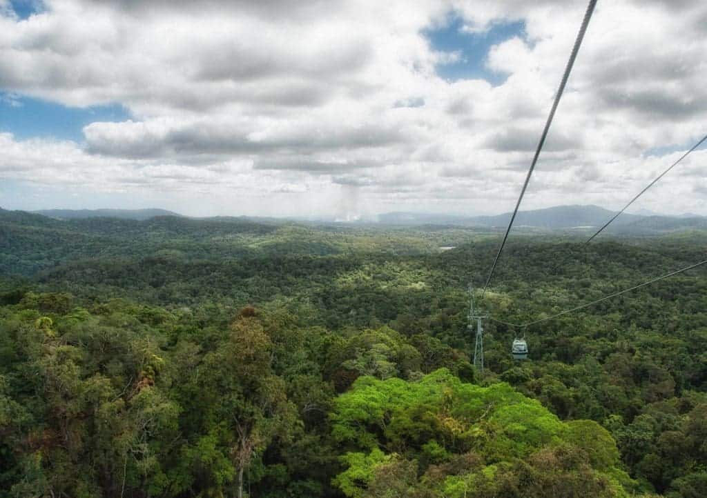 Daintree Rainforest