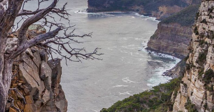 Cape Raoul Track