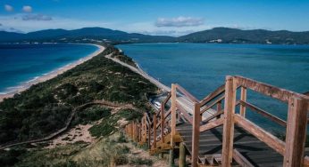 8 Facts You Must Know About Bruny Island Tasmania