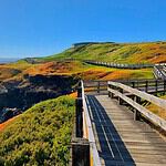 Scenic coastal walkway with ocean views in Victoria.