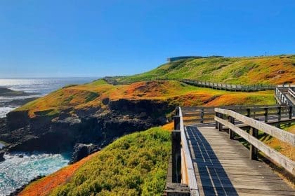 Scenic coastal walkway with ocean views in Victoria.