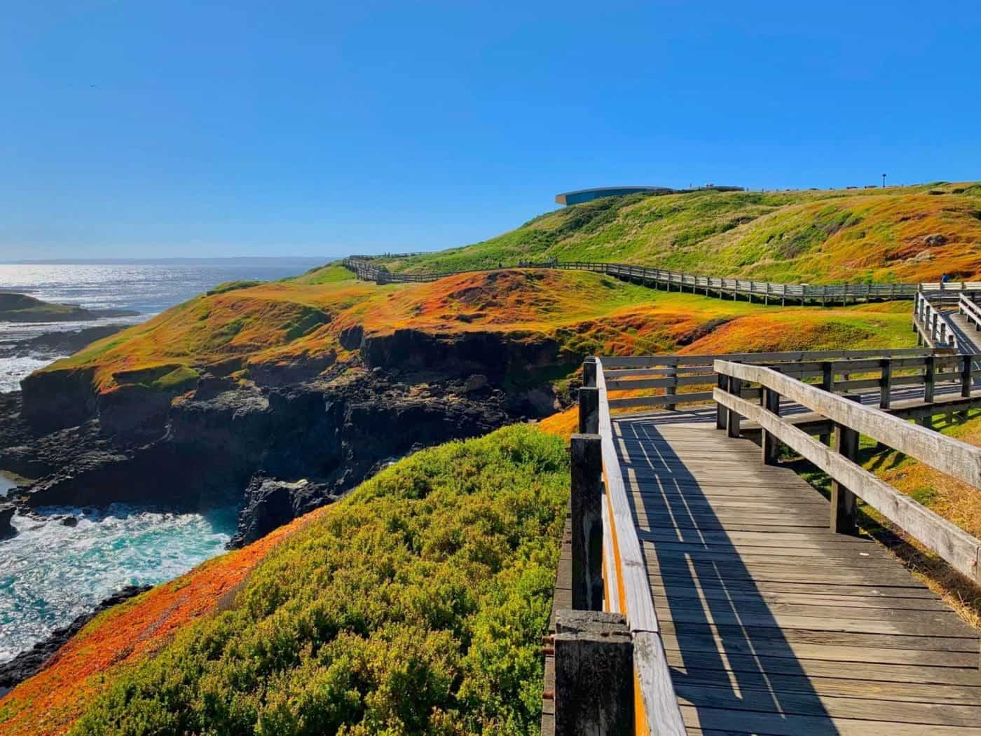 Scenic coastal walkway with ocean views in Victoria.