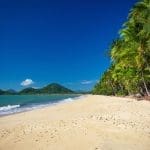 Scenic Palm Cove Beach with lush palms in Australia.