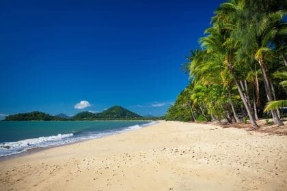 Scenic Palm Cove Beach with lush palms in Australia.