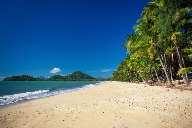 Scenic Palm Cove Beach with lush palms in Australia.