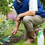 gardening