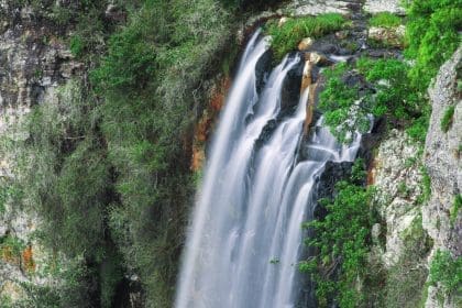 Majestic Purling Brook Waterfall surrounded by lush greenery.