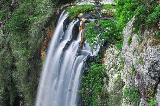Majestic Purling Brook Waterfall surrounded by lush greenery.