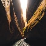 Carnarvon Gorge Camping