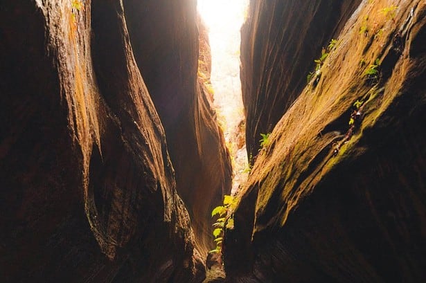 Carnarvon Gorge Camping