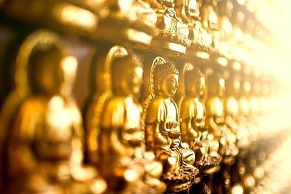 Golden Buddha statues in a row at a temple