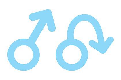 male libido