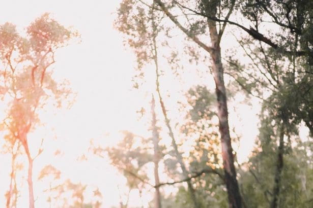 exploring the grampians peaks trail in 7 interesting points