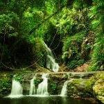 Lamington National park