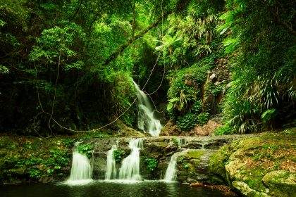 Lamington National park