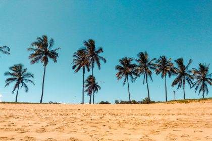 beach