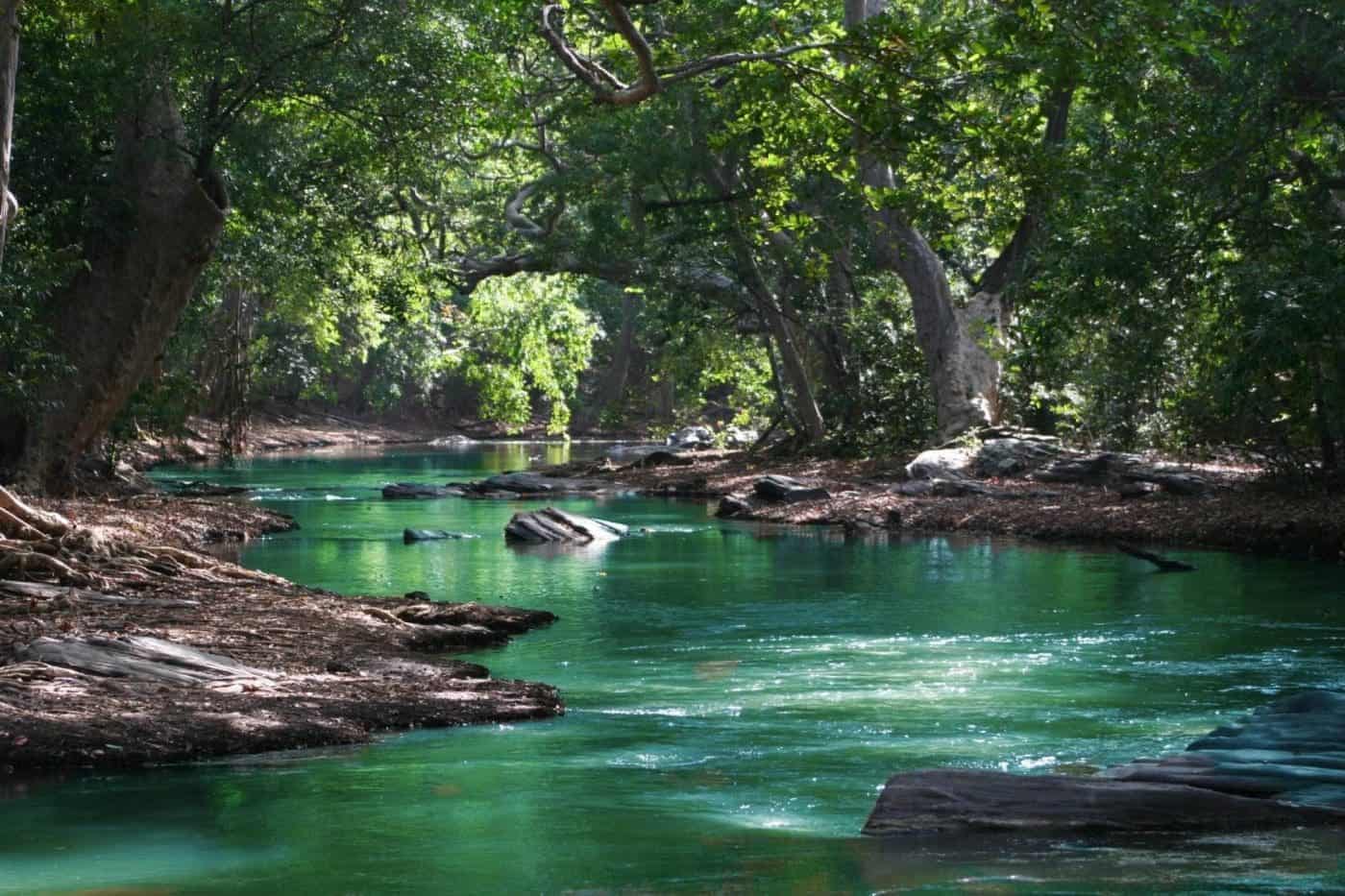rivers