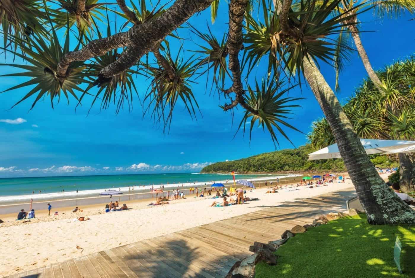 noosa beach