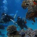 Scuba Diving