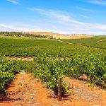 clare valley