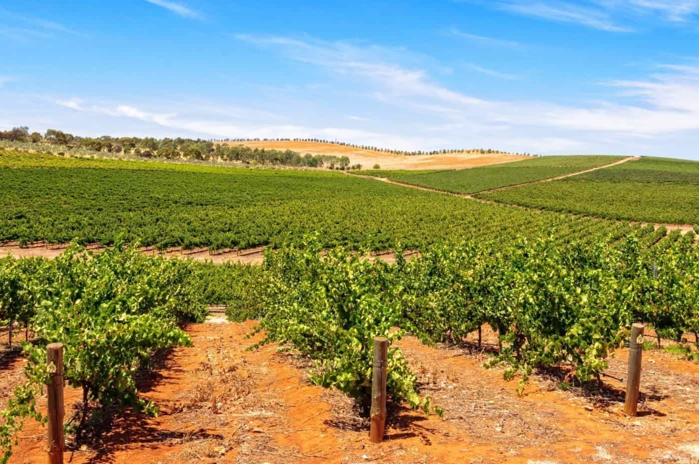 clare valley