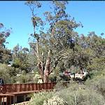 John Forrest National Park