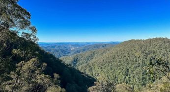 A Complete Guide to Barrington Tops National Park