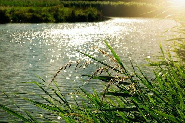 rivers
