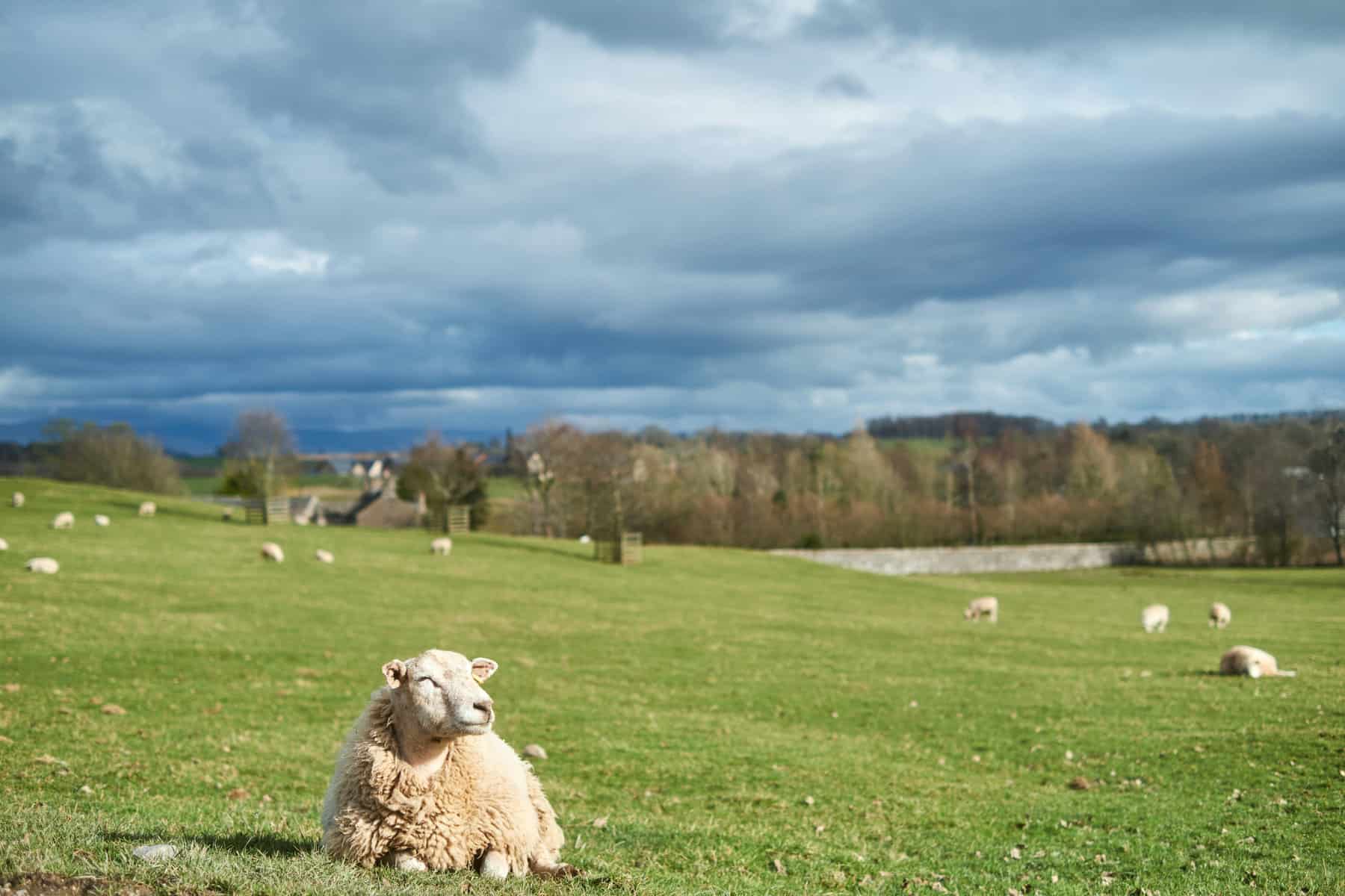 Things to Do in Penrith – Fun Options You Should Explore