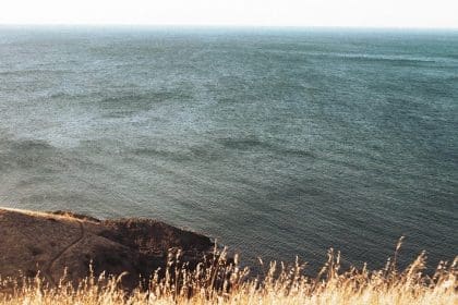 Serene cliffside with ocean view and grassy foreground.