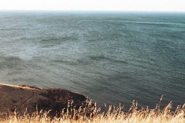 Serene cliffside with ocean view and grassy foreground.