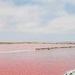 Pink Lake