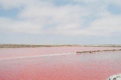 Pink Lake