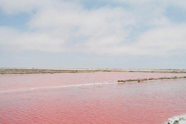 Pink Lake