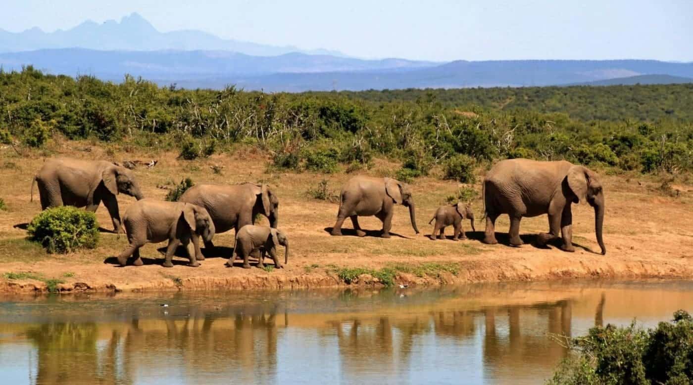 National Park