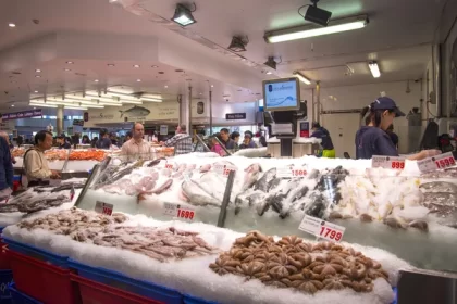 Inside Behind-The-Scenes Tour of the Sydney Fish Market!