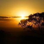 Australian sunset with tree silhouettes.