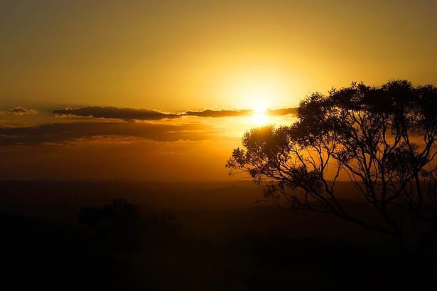 Australian sunset with tree silhouettes.