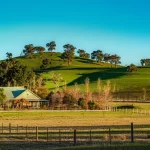 Scenic Yarra Valley Winery on Sunny Day in Melbourne