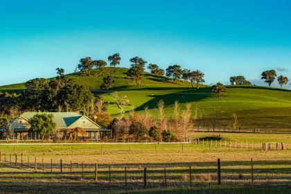 Scenic Yarra Valley Winery on Sunny Day in Melbourne